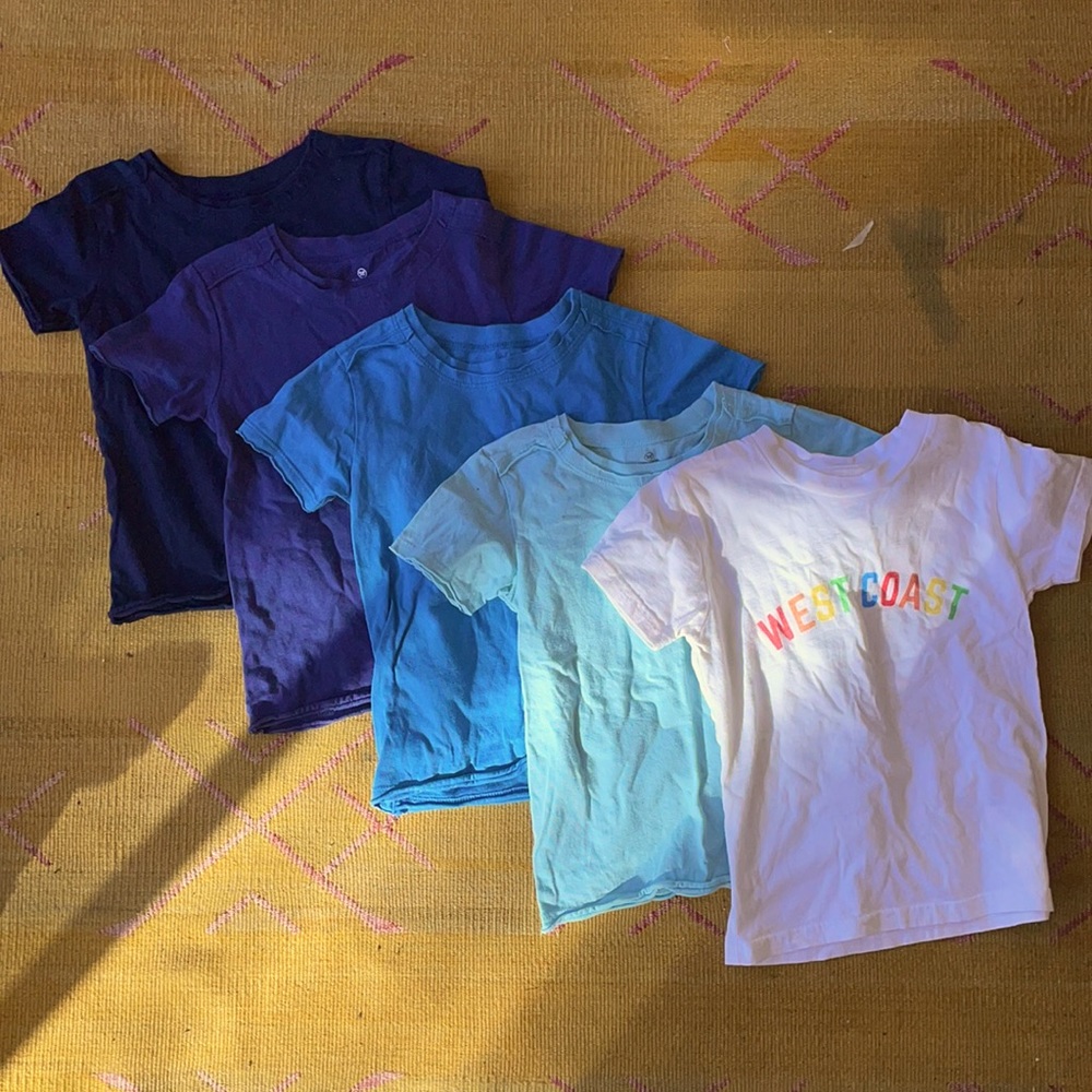 Gently used toddler shirts for boy or girl. Ombré blue from Honest Co. 5 shirts